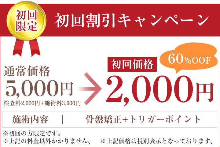 初回限定料金